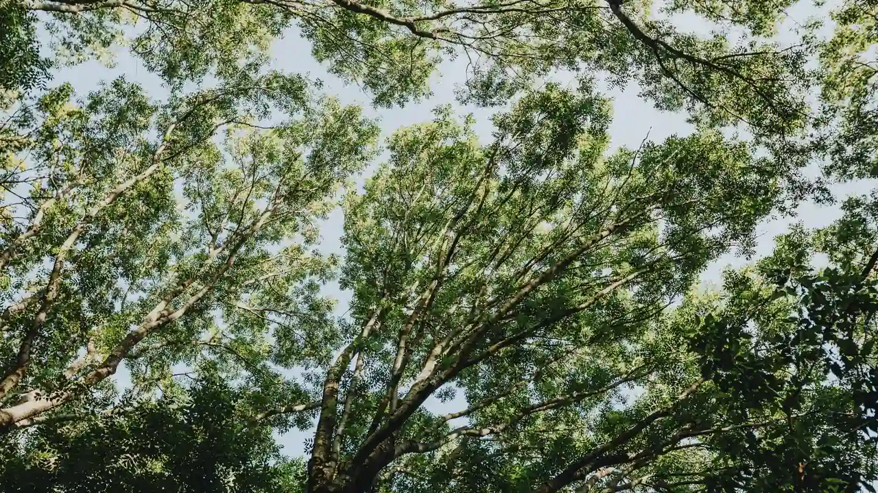 永不迷路-黑料正能量在线使用场景与注意事项解析