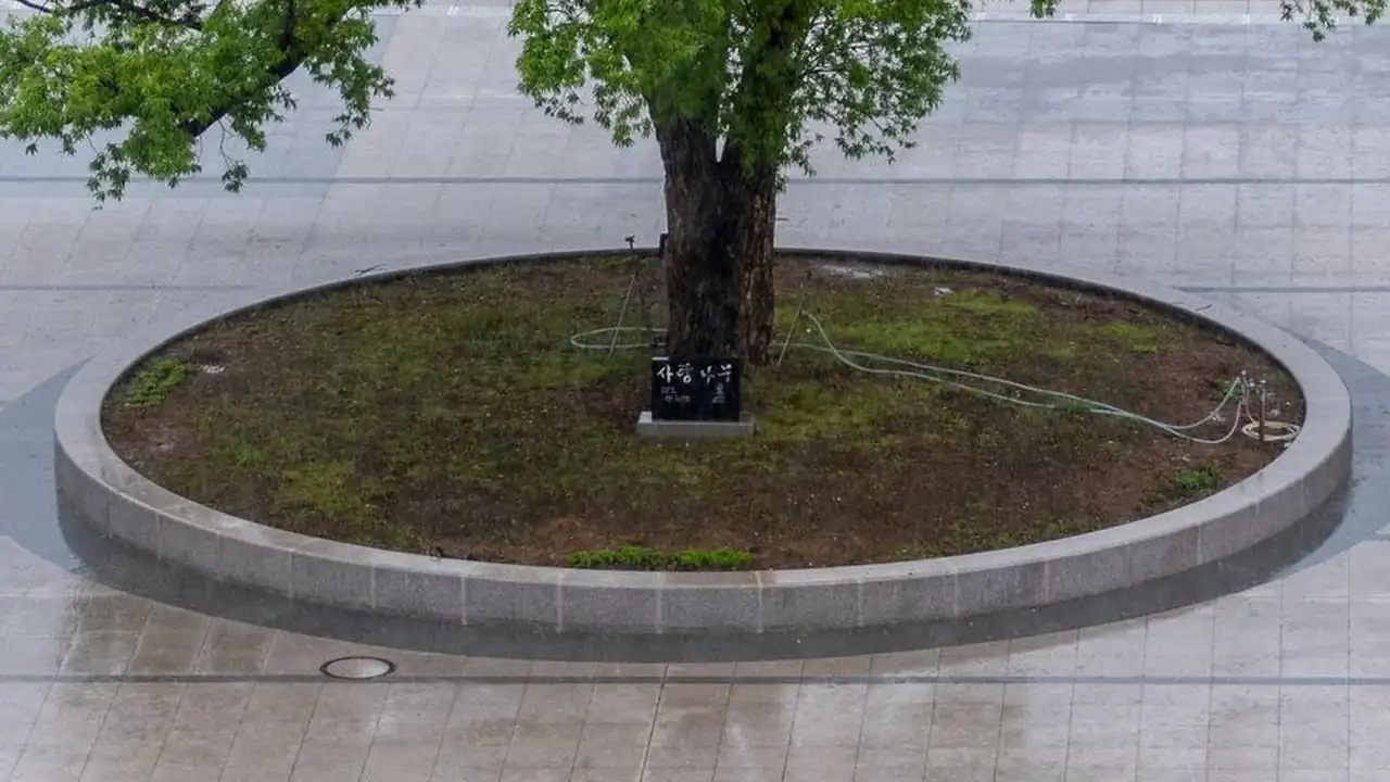 男男同志版mvhalo mv怎么看和播放