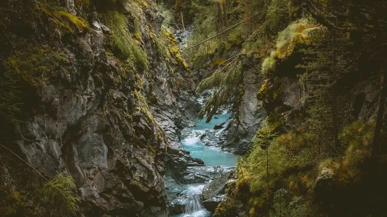 吴玫东头像